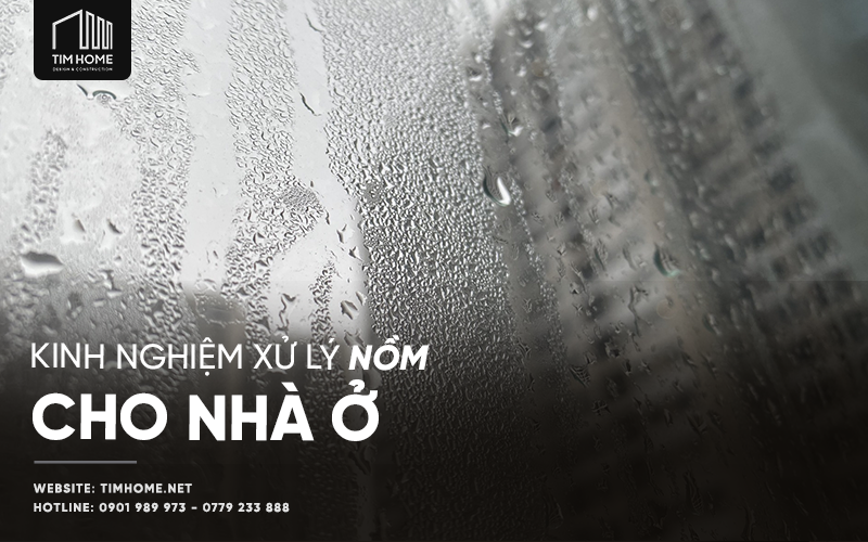 Kinh Nghiệm Xử Lý Nồm Cho Nhà Ở