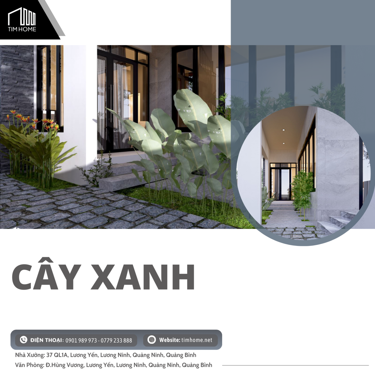 Cây xanh